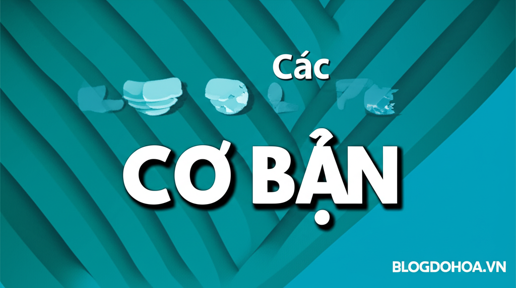 Các Nguyên Tắc Cơ Bản