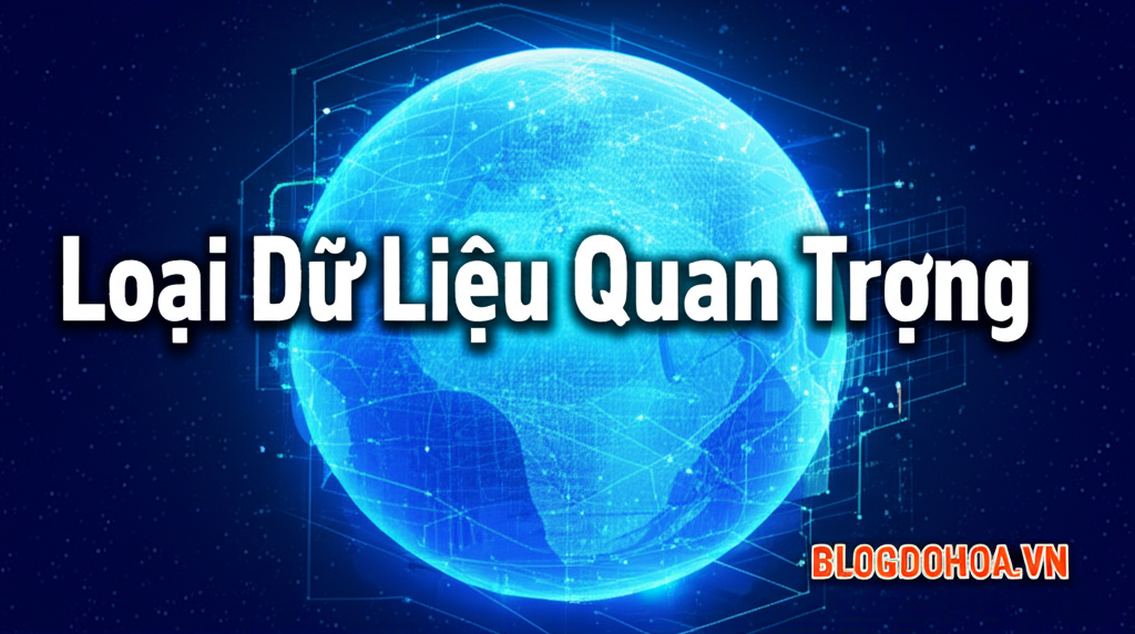 Loại Dữ Liệu Quan Trọng